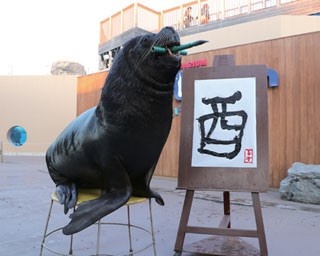 神奈川エリアで開催！お正月の動物イベント3選