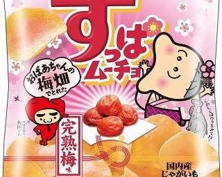  “おばあちゃんの梅畑”で収穫！すっぱムーチョに完熟梅味！