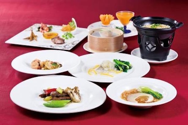 【写真を見る】中国料理を代表する贅沢食材「ふかひれ」を使用した逸品を用意