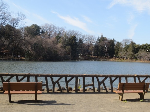 善福寺公園内にはいたる所にベンチがある