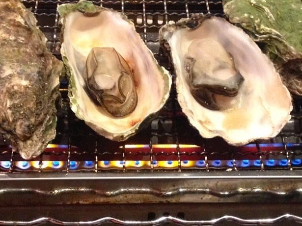 【写真を見る】通常1個400円のぷっくりとした牡蠣