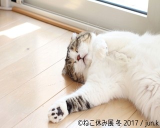 人気ネコクリエイタ―が集結！ねこ休み展