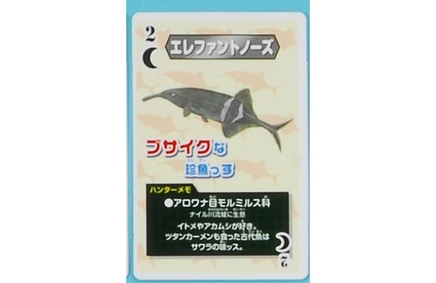 珍獣カードの一枚