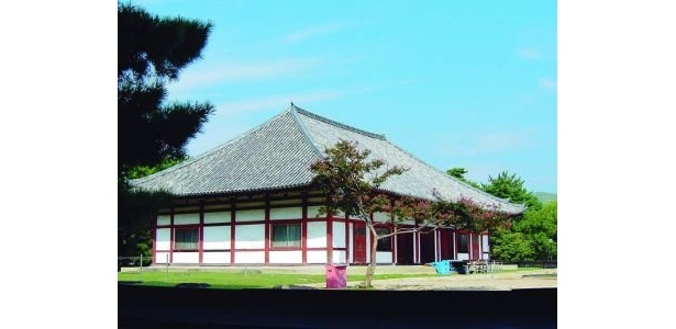 史上初の仮金堂での拝観も見逃せない
