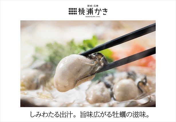 【写真を見る】しみわたる出汁と桃浦かきの旨みが堪らない！