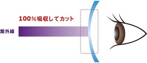 【写真を見る】目に届くUVを100％吸収してブロック