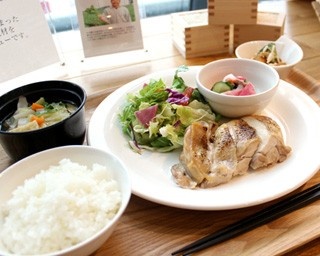 梅田で一汁三菜ランチ！ヤンマー本社の社食が週末限定で一般開放