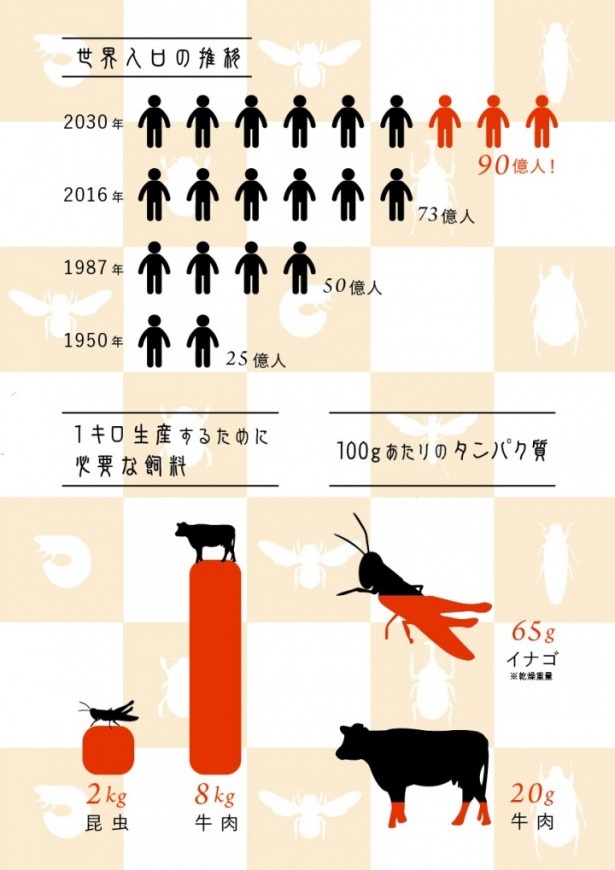 グラフで見る「昆虫食」の利点