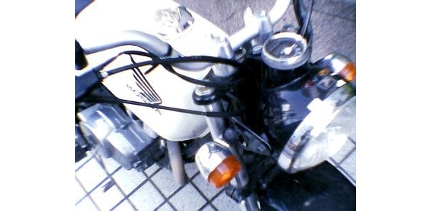 トイデジカメで撮影した画像