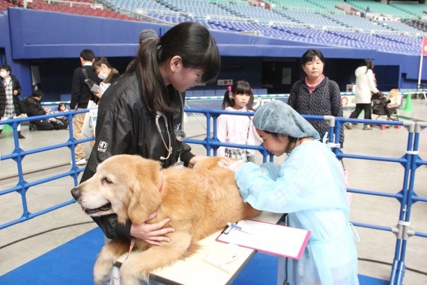 お仕事体験など子ども向けイベントも