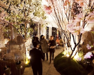 東京湾やお台場の景色を一望しながら桜を満喫！「さくら ガーデン」開催！