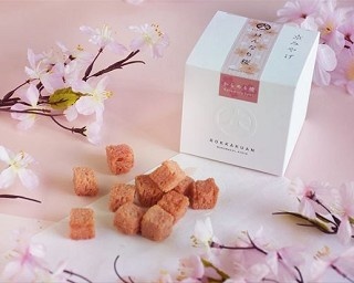 お土産やお花見にもオススメ！京都の春をイメージした新食感“桜”スイーツ