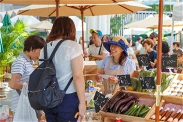 【写真を見る】「もつ鍋」「水炊き」など九州の鍋料理を提供し地酒と共に楽しめる
