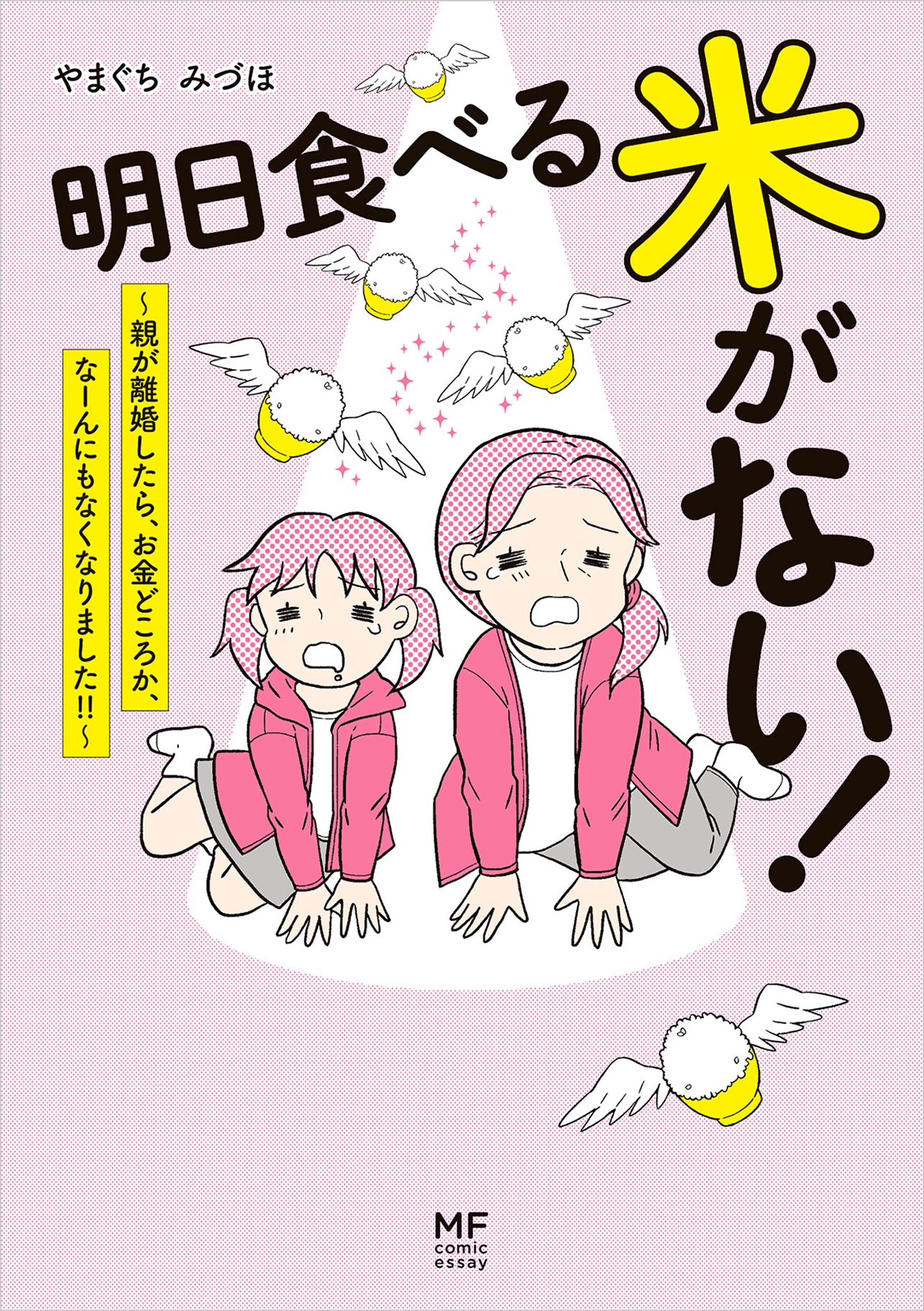 『明日食べる米がない！親が離婚したら、お金どころか、なーんにもなくなりました!!』