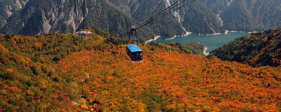 立山黒部の高原を行く