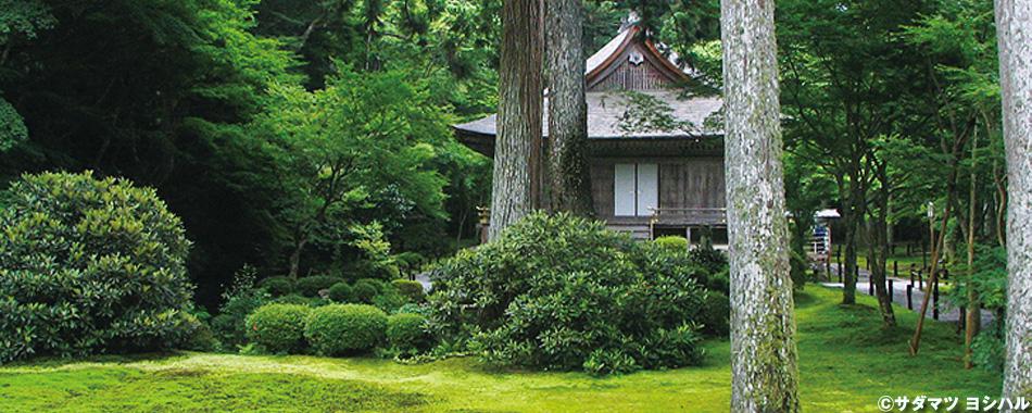 大原・貴船・鞍馬周辺の有名寺社