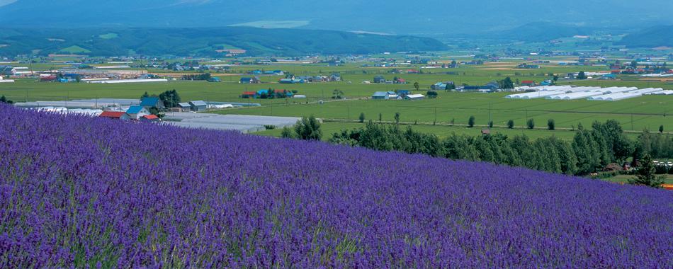 花とガーデンを巡る北海道の旅