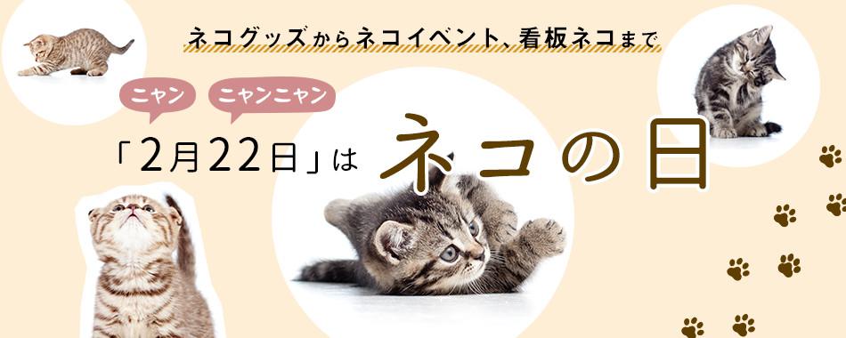 猫の日特集 ウォーカープラス