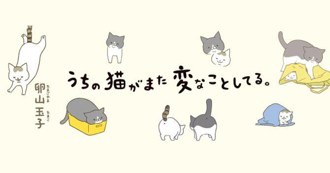 漫画 うちの猫がまた変なことしてる ウォーカープラス