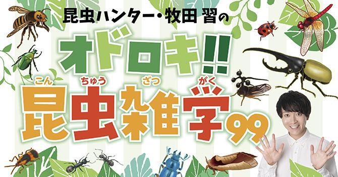  昆虫ハンター・牧田習のオドロキ!!昆虫雑学99